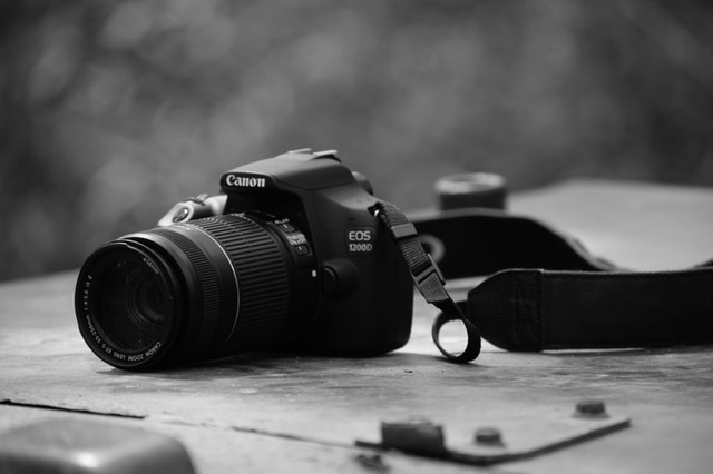 Read more about the article סקירת קנון Rebel T7i/800D: אם הגיע הזמן למצלמה קצת יותר טובה, זו הקנון שלכם